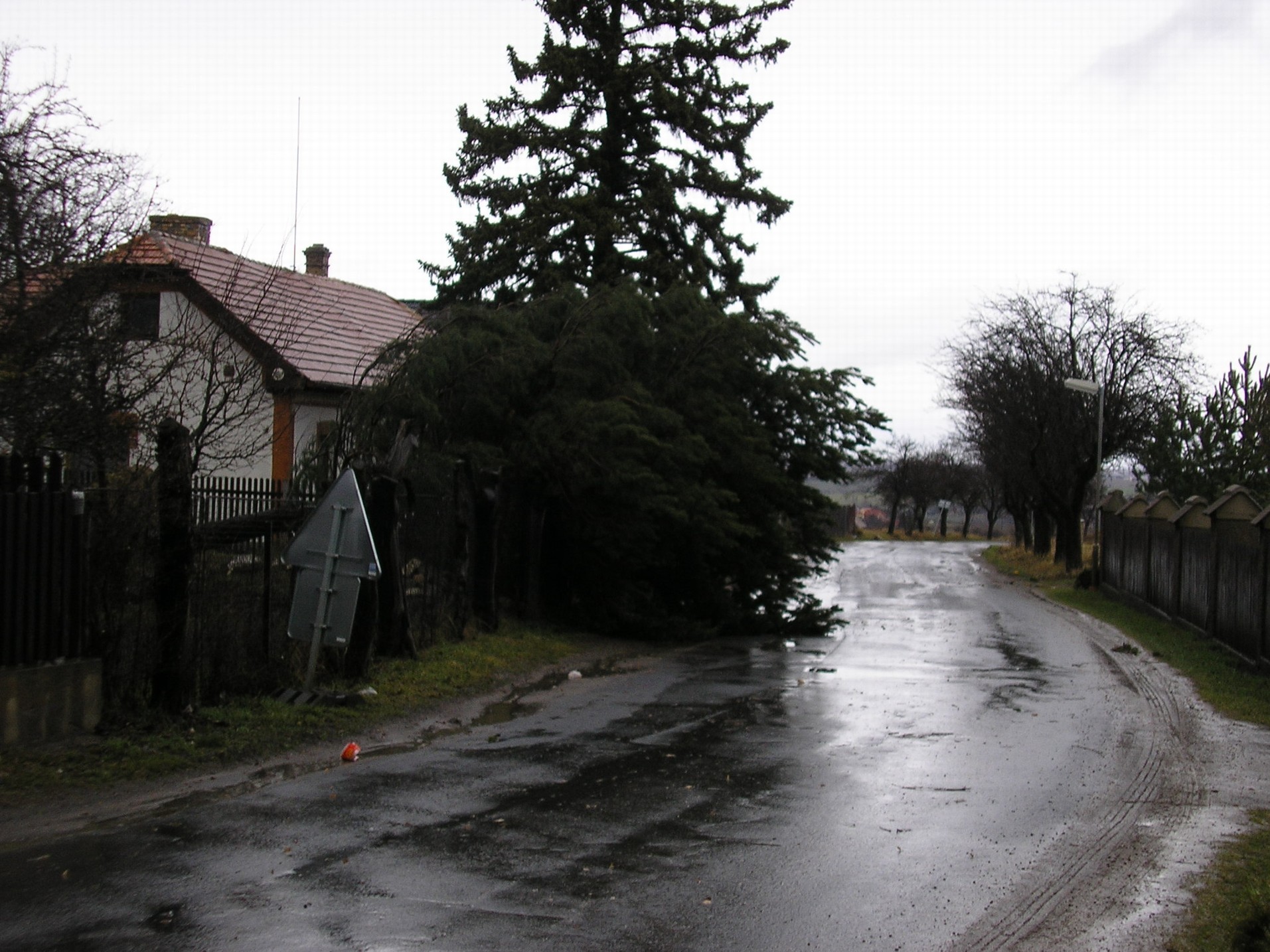 Orkán Emma (1).JPG